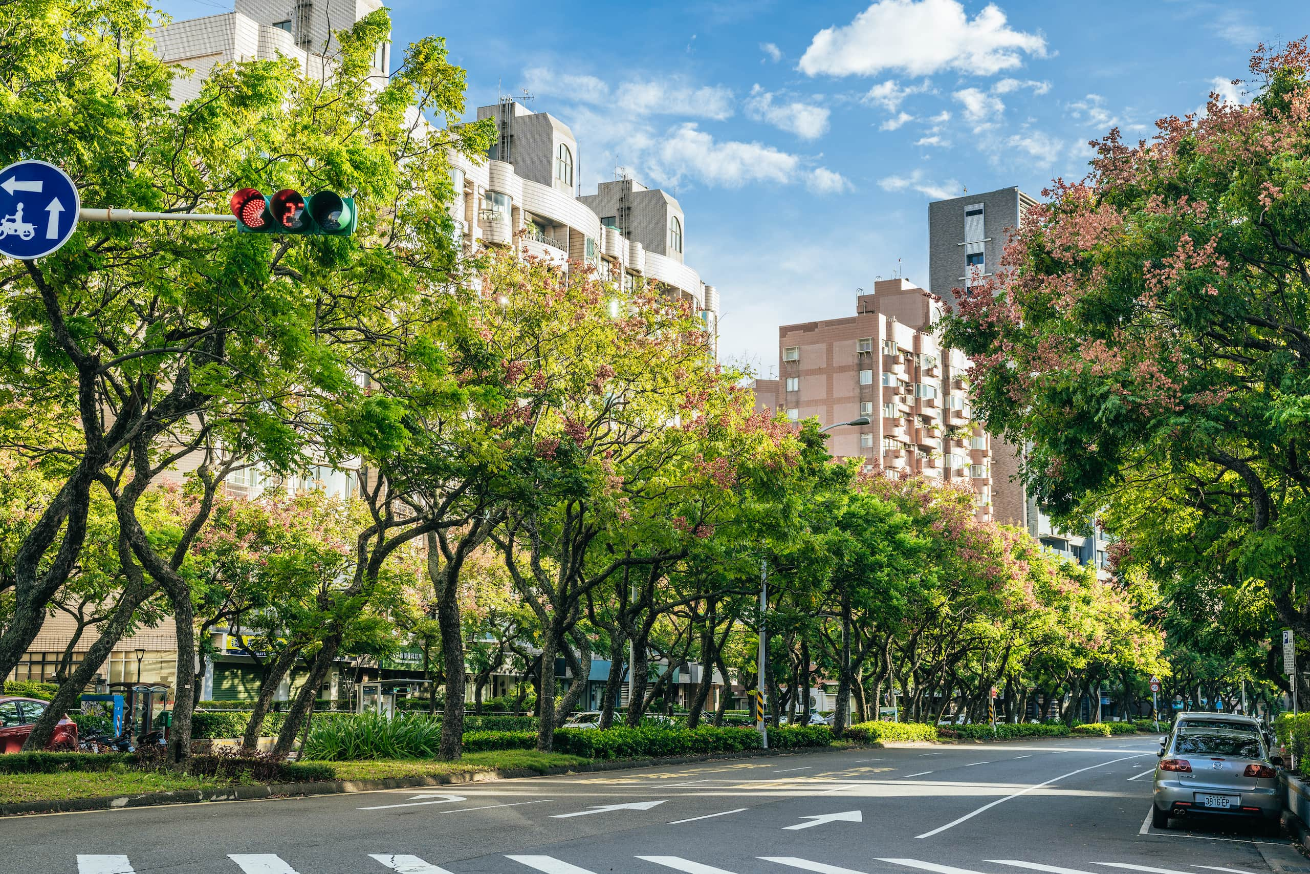 天母品川拍攝計畫-中山北路六段實景拍攝