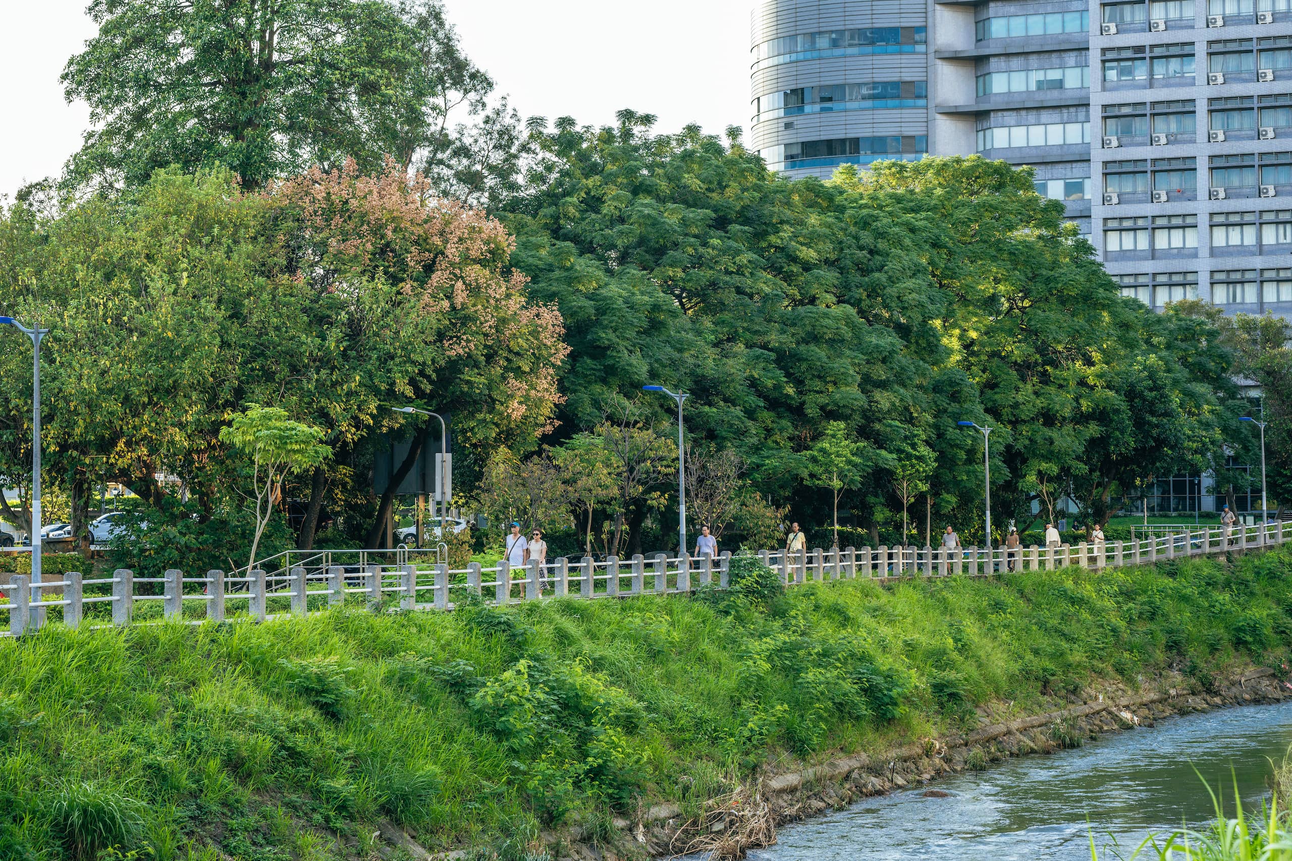 天母品川拍攝計畫-磺溪河濱步道實景拍攝